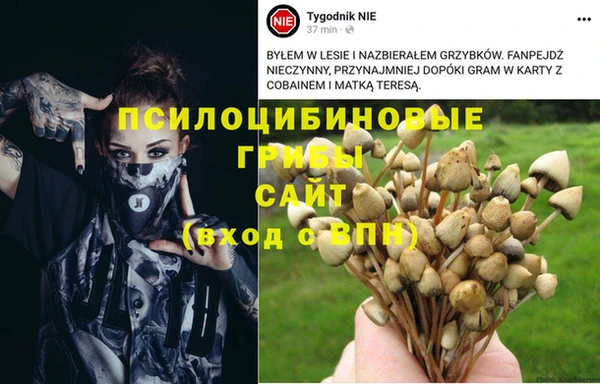 героин Аркадак