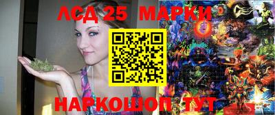 mdma Можга