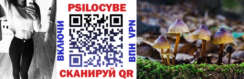 Псилоцибиновые грибы ЛСД  что такое наркотик  Гурьевск 