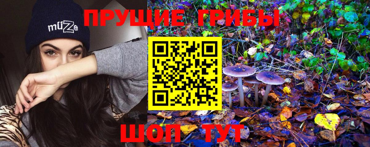 как найти закладки  Псилоцибиновые грибы Cubensis  Вход с VPN  Гурьевск 
